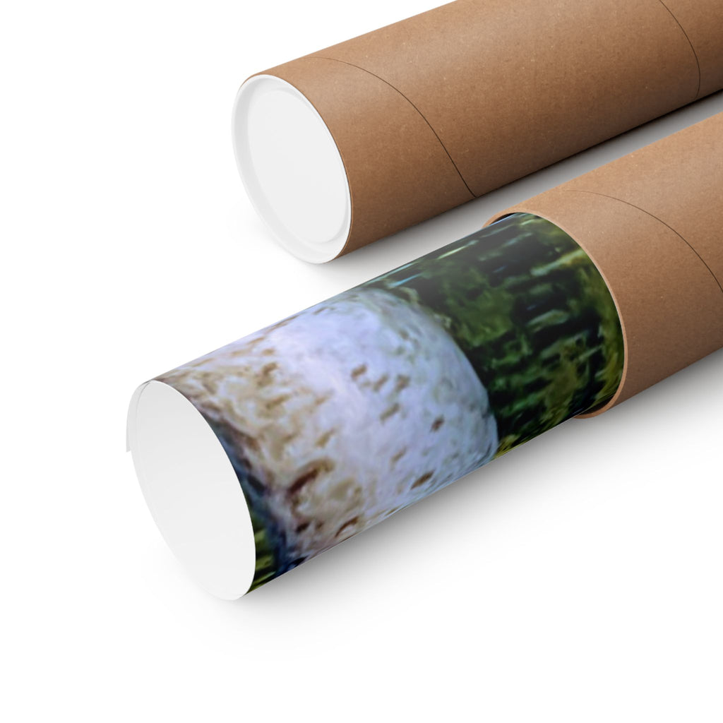 Birch Lake Reflection Matte Poster — Vertical Nature Wall Art