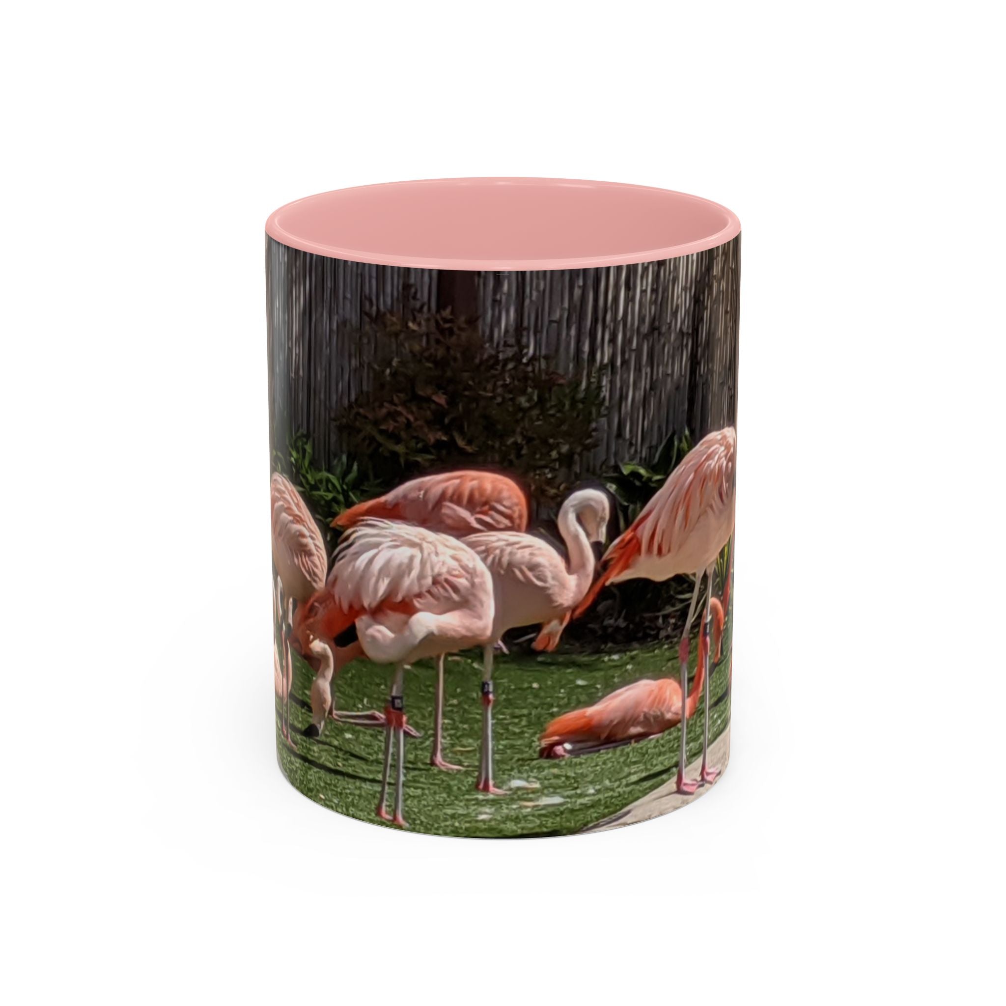Flamingo Flock Accent Coffee Mug — Tropical Pink Bird Photo (11/15 oz)