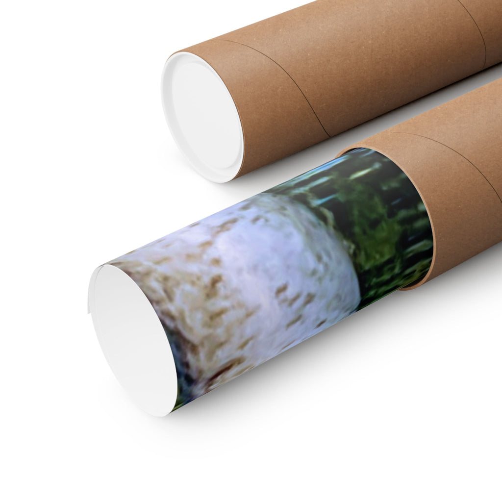 Birch Lake Reflection Matte Poster — Vertical Nature Wall Art