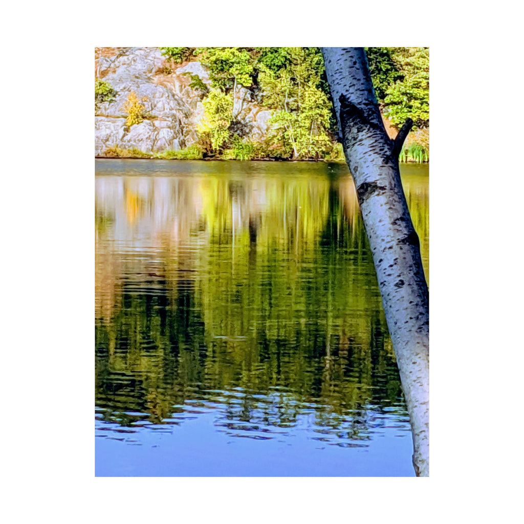Birch Lake Reflection Matte Poster — Nature Photography Wall Art, Woodland Landscape Print, 46 Sizes