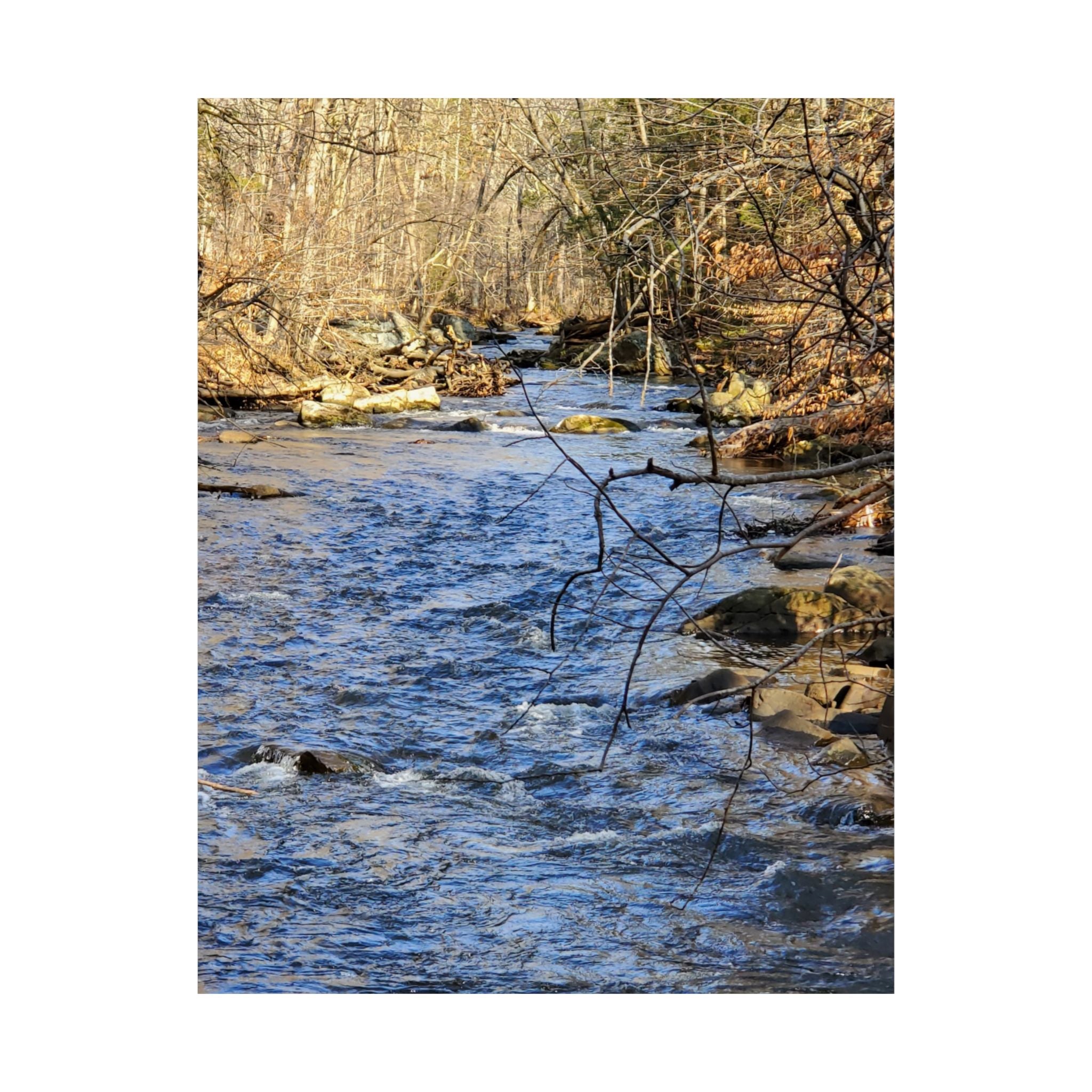 River Stream Nature Poster — Matte Vertical Wall Art for Home & Cabin Décor