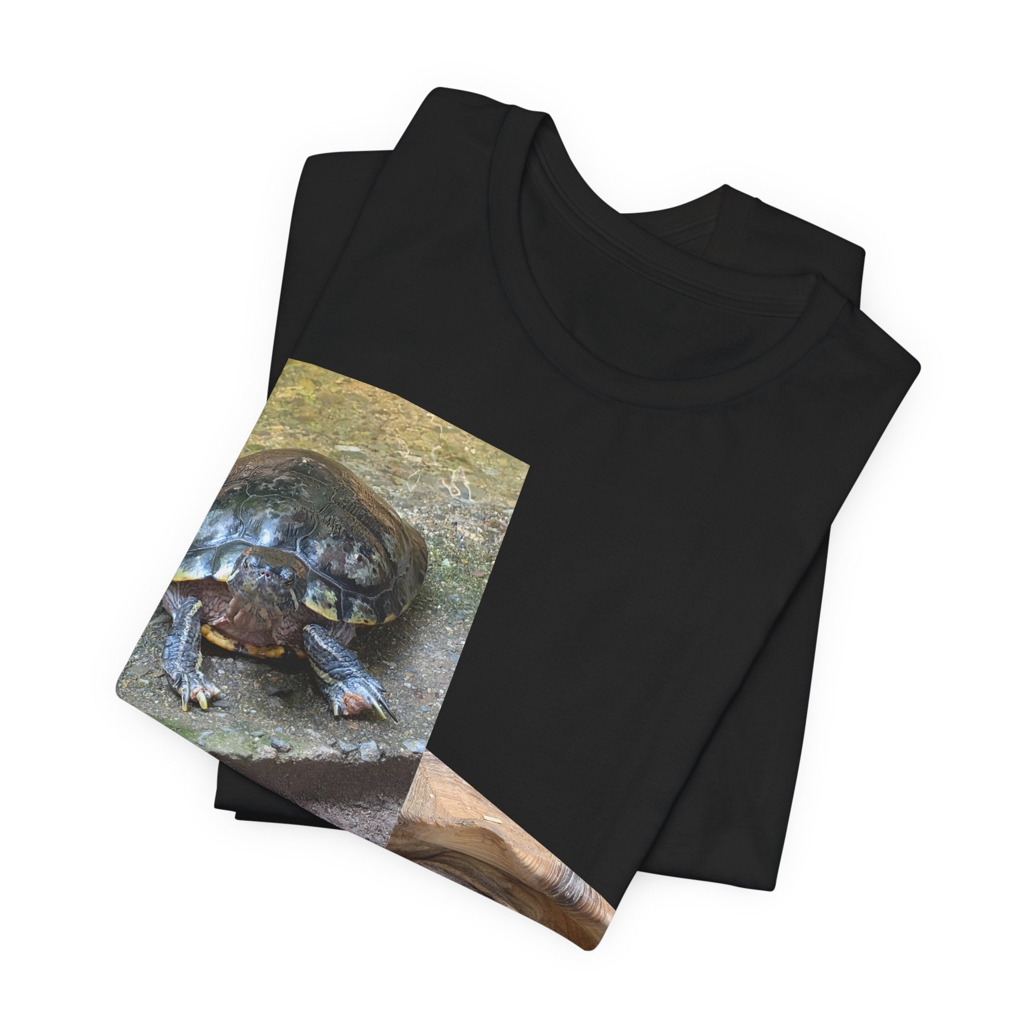 Turtle Photo Collage Tee — Cute Turtle Lovers T-Shirt