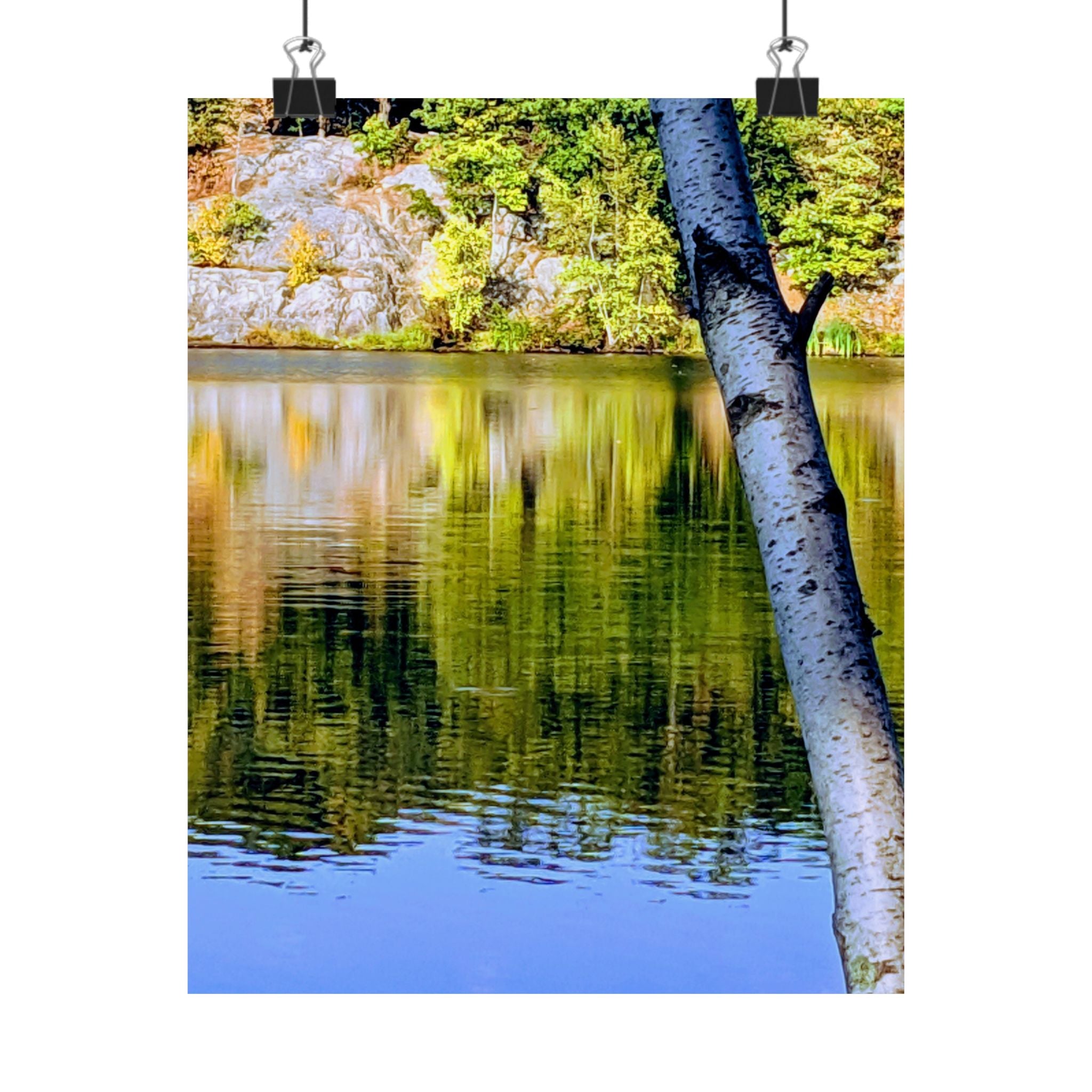 Birch Lake Reflection Matte Poster — Vertical Nature Wall Art