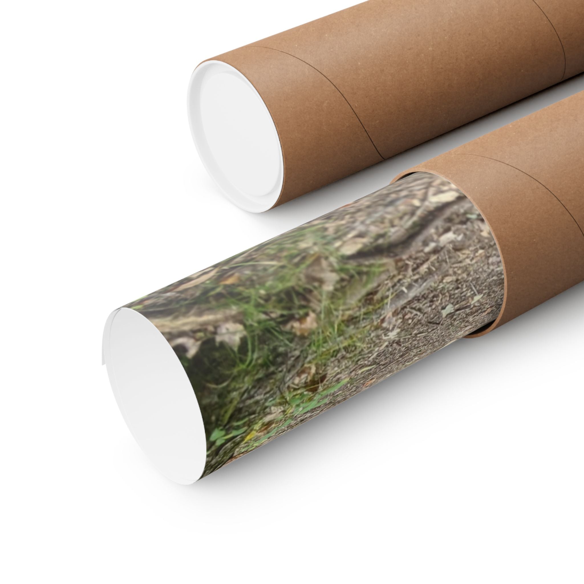 Forest Trail Matte Poster — Green Woodland Nature Photography