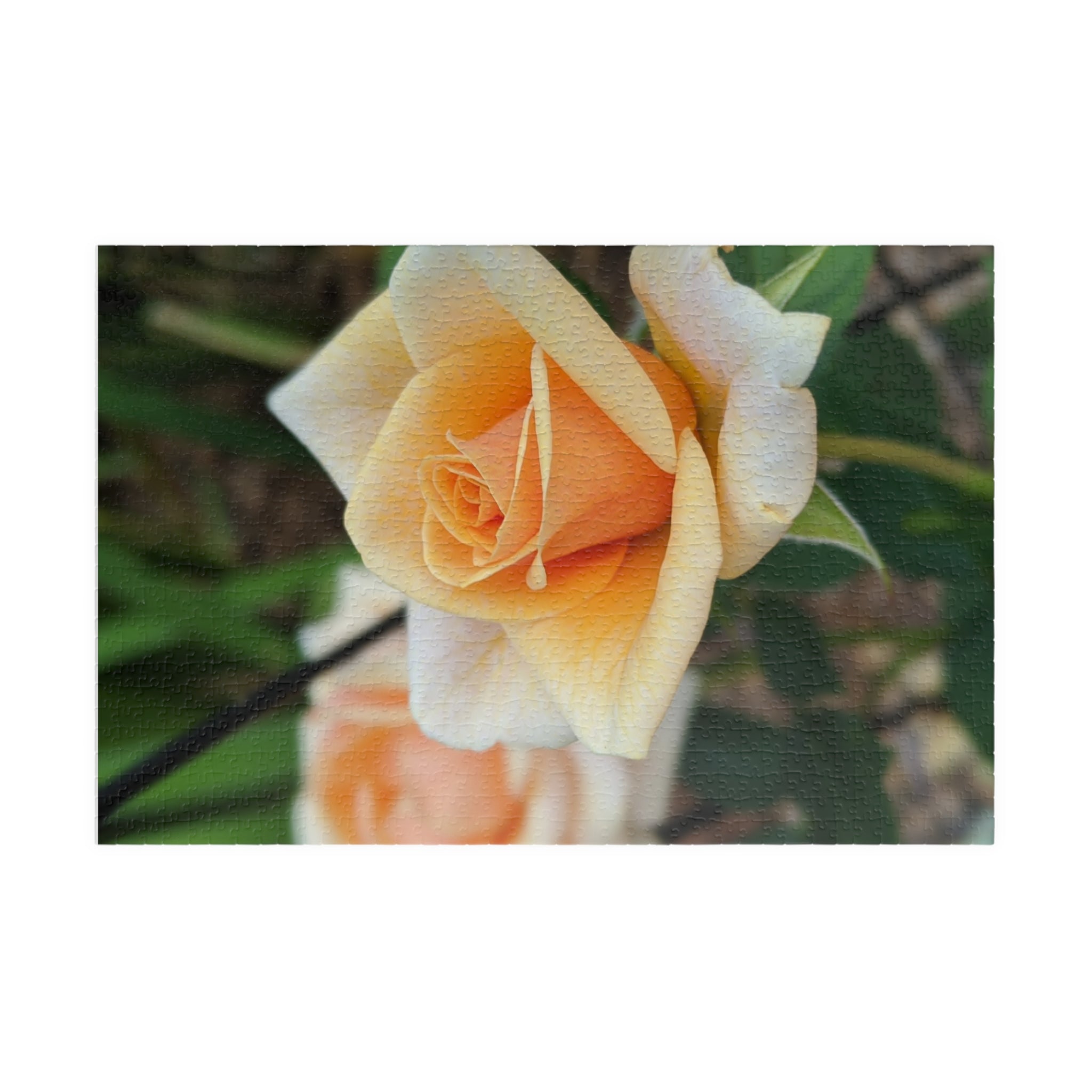 Peach Rose Photo Jigsaw Puzzle — Wildlife & Floral Photography Gift Set (110, 252, 520, 1014-piece)
