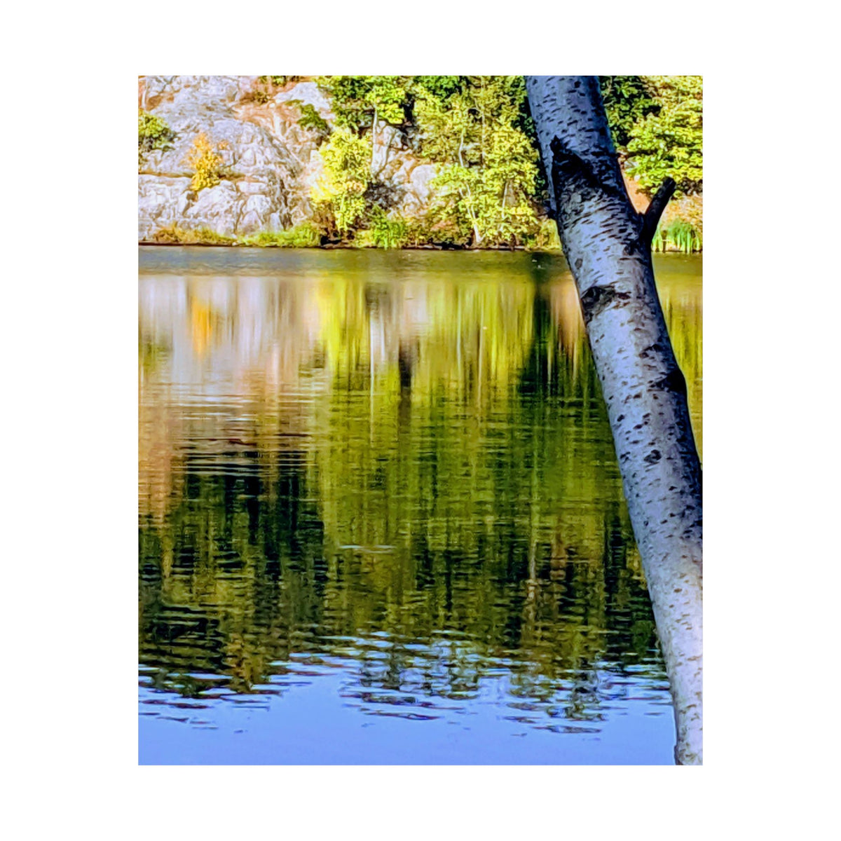 Birch Lake Reflection Matte Poster — Nature Photography Wall Art, Woodland Landscape Print, 46 Sizes