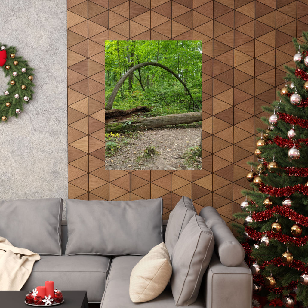 Forest Trail Matte Poster — Green Woodland Nature Photography