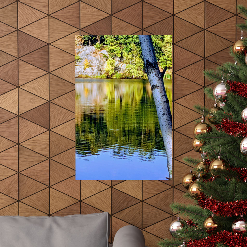 Birch Lake Reflection Matte Poster — Nature Photography Wall Art, Woodland Landscape Print, 46 Sizes