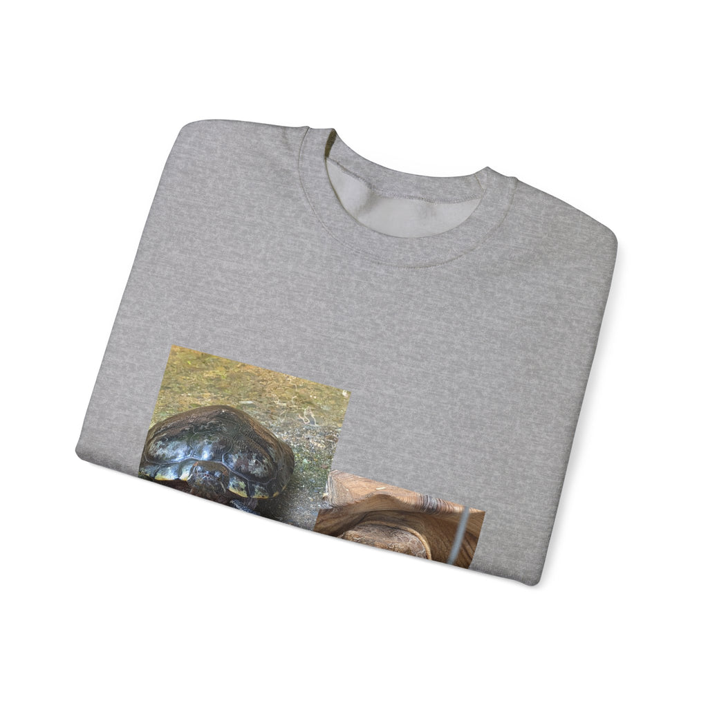 Turtle Photo Crewneck Sweatshirt – Cute Turtle Face Collage Pullover