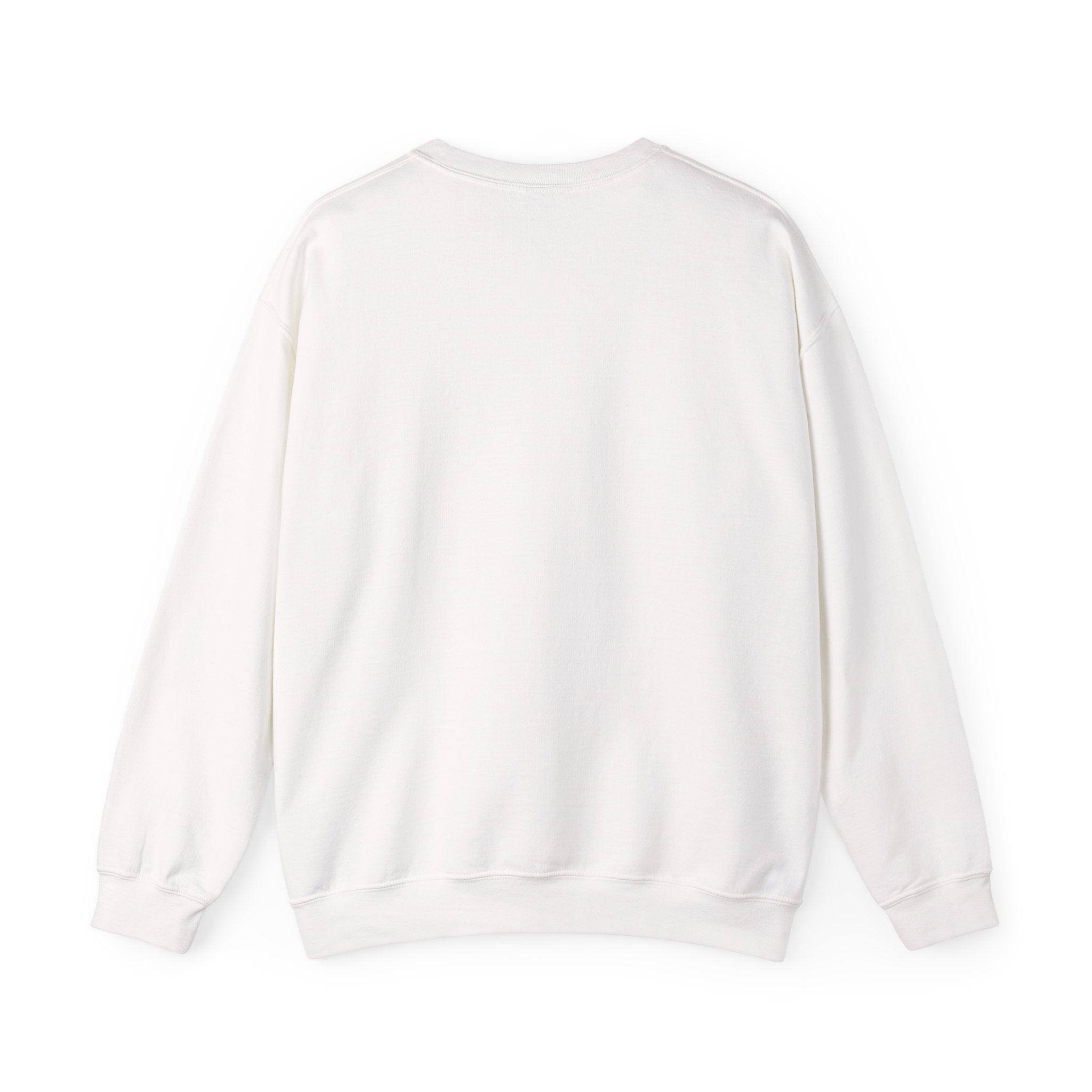 Turtle Photo Crewneck Sweatshirt – Cute Turtle Face Collage Pullover