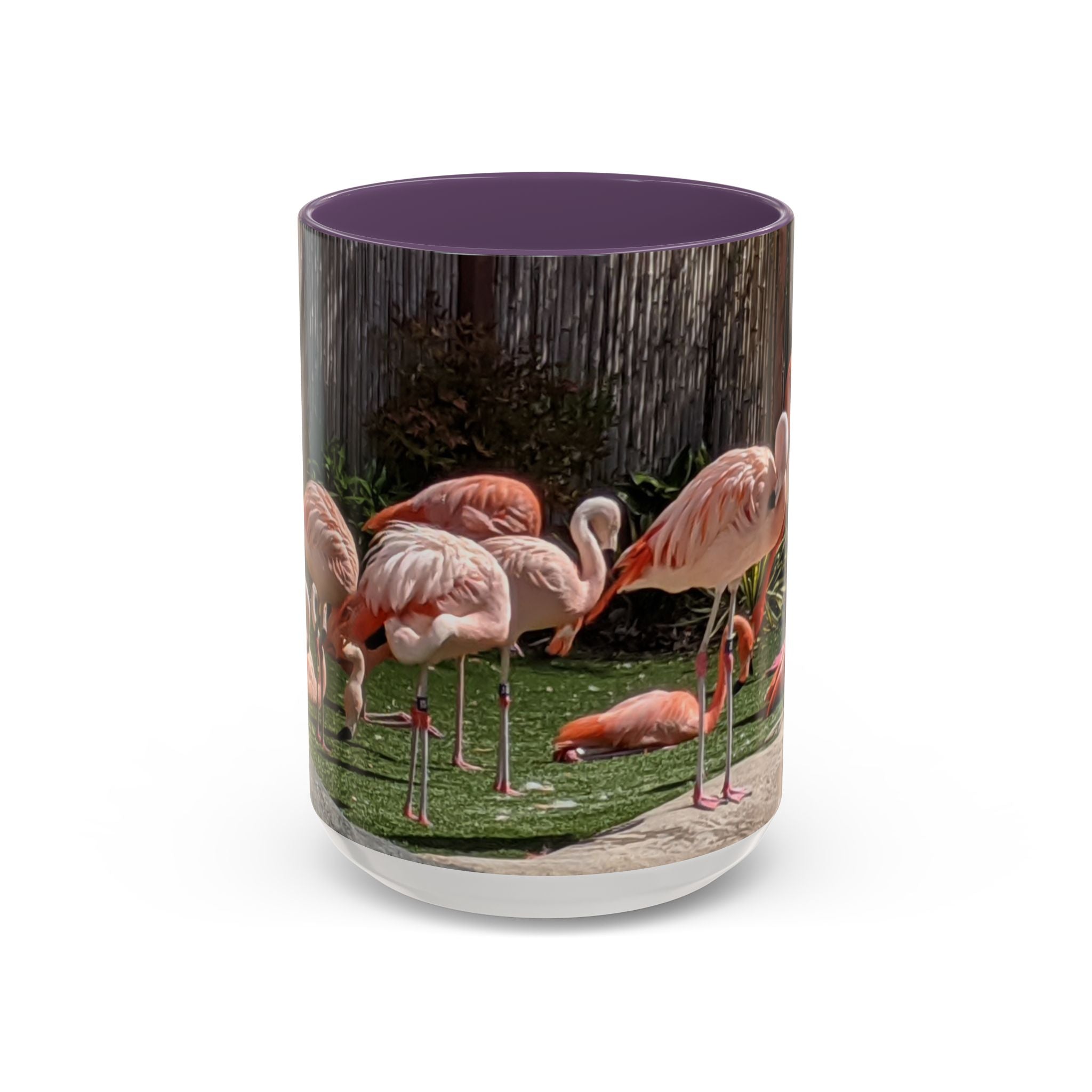 Flamingo Flock Accent Coffee Mug — Tropical Pink Bird Photo (11/15 oz)