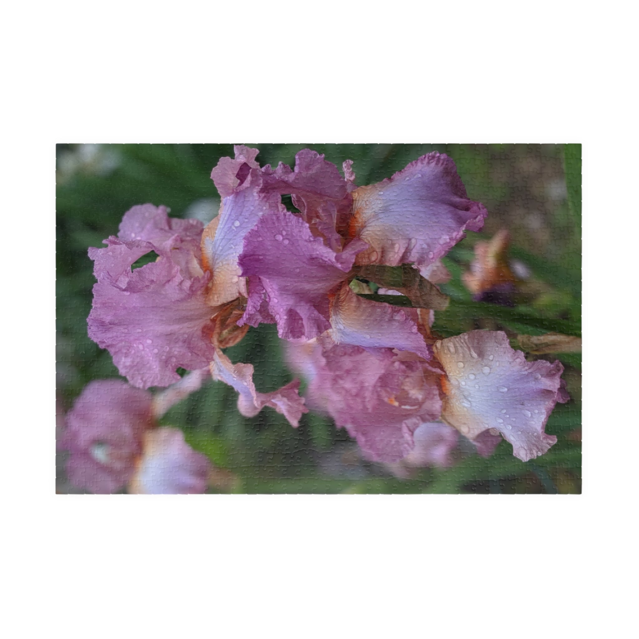 Mauve Iris Nature Photo Jigsaw Puzzle — Wildlife & Floral Photography Gift Set (110, 252, 520, 1014-piece)