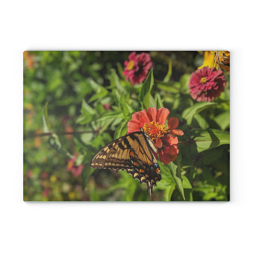 Floral Butterfly Glass Cutting Board — Nature Photography Kitchen Decor, Tempered Glass Chopping Board, Garden Gift