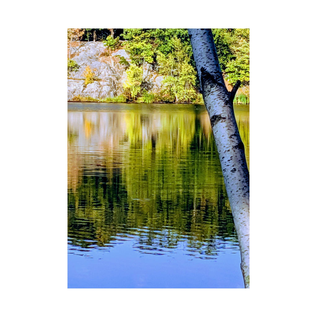 Birch Lake Reflection Matte Poster — Nature Photography Wall Art, Woodland Landscape Print, 46 Sizes