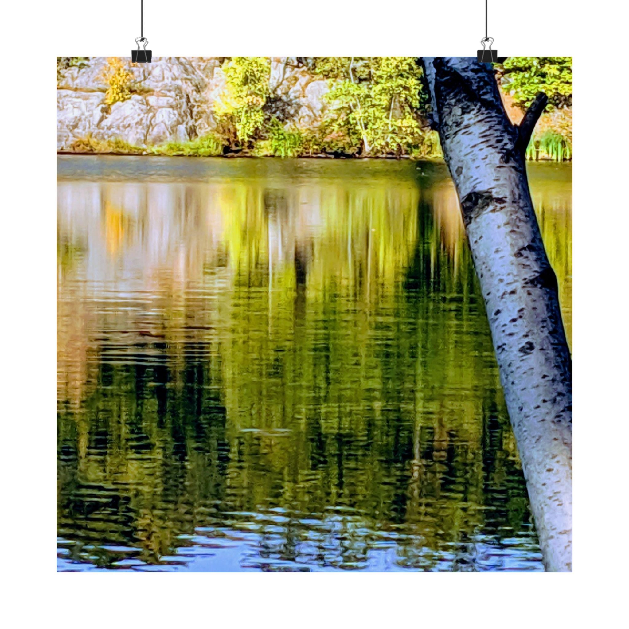 Birch Lake Reflection Matte Poster — Vertical Nature Wall Art