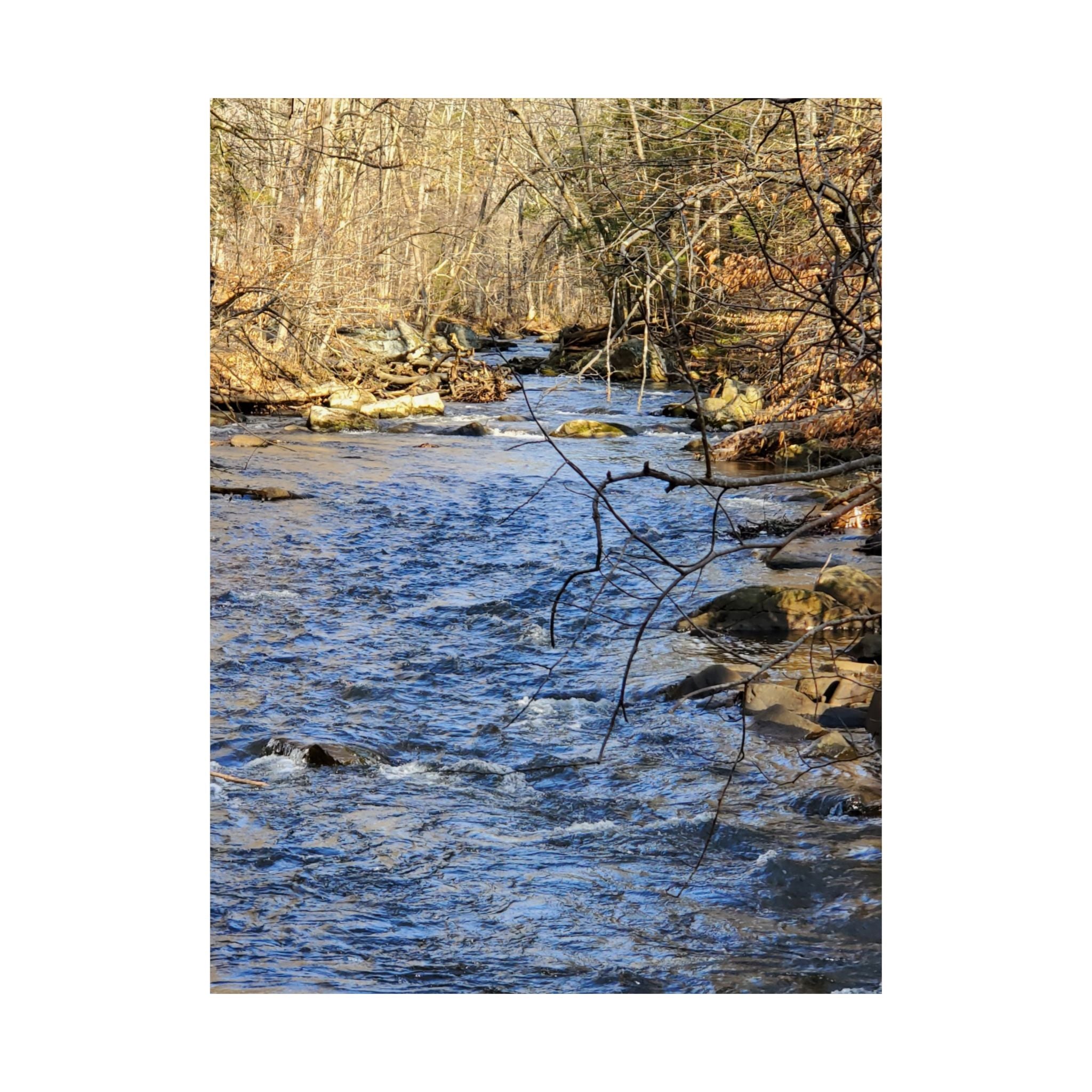 River Stream Nature Poster — Matte Vertical Wall Art for Home & Cabin Décor