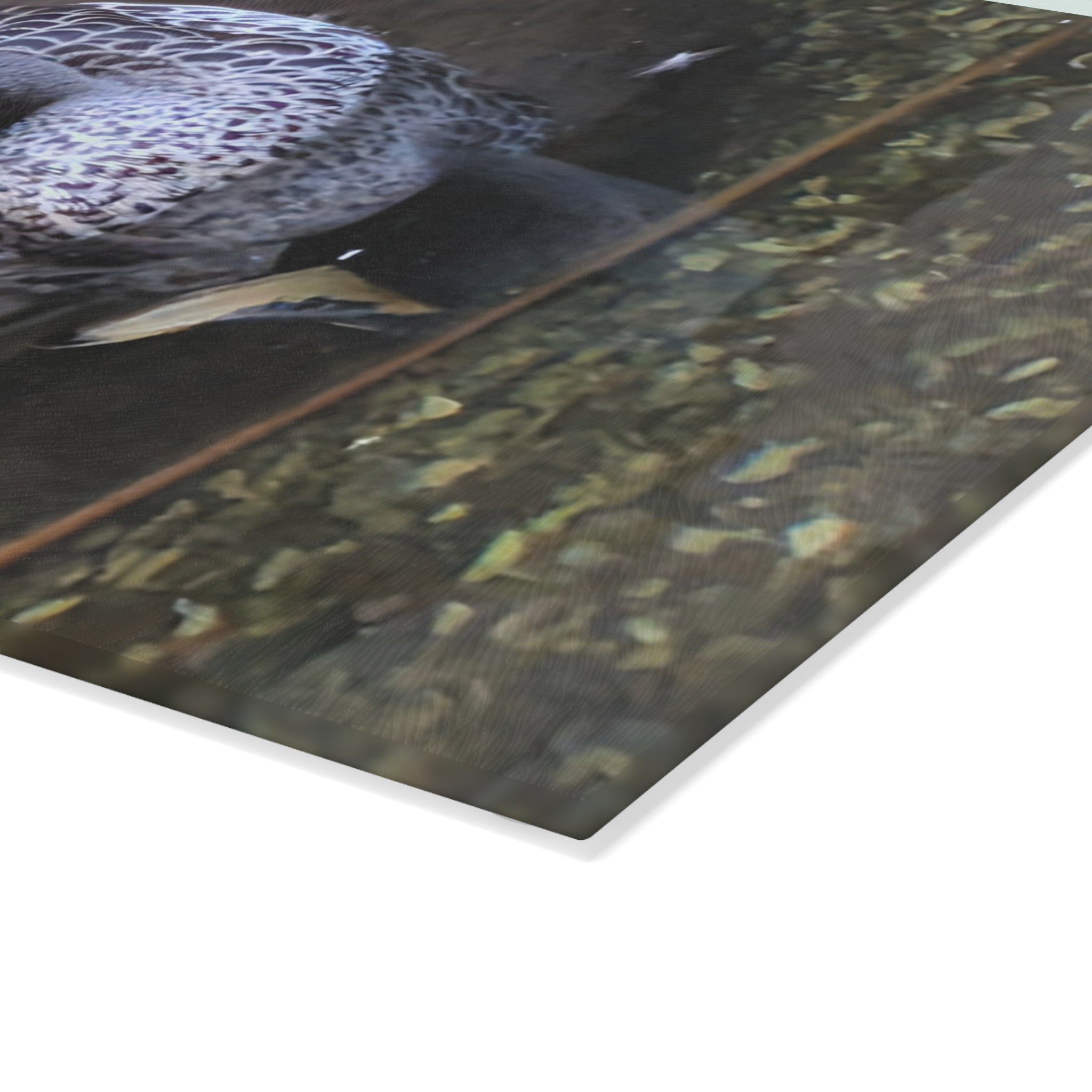 Glass Cutting Board