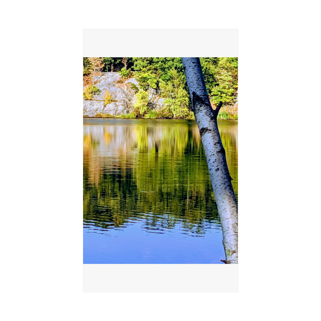 Birch Lake Reflection Matte Poster — Vertical Nature Wall Art