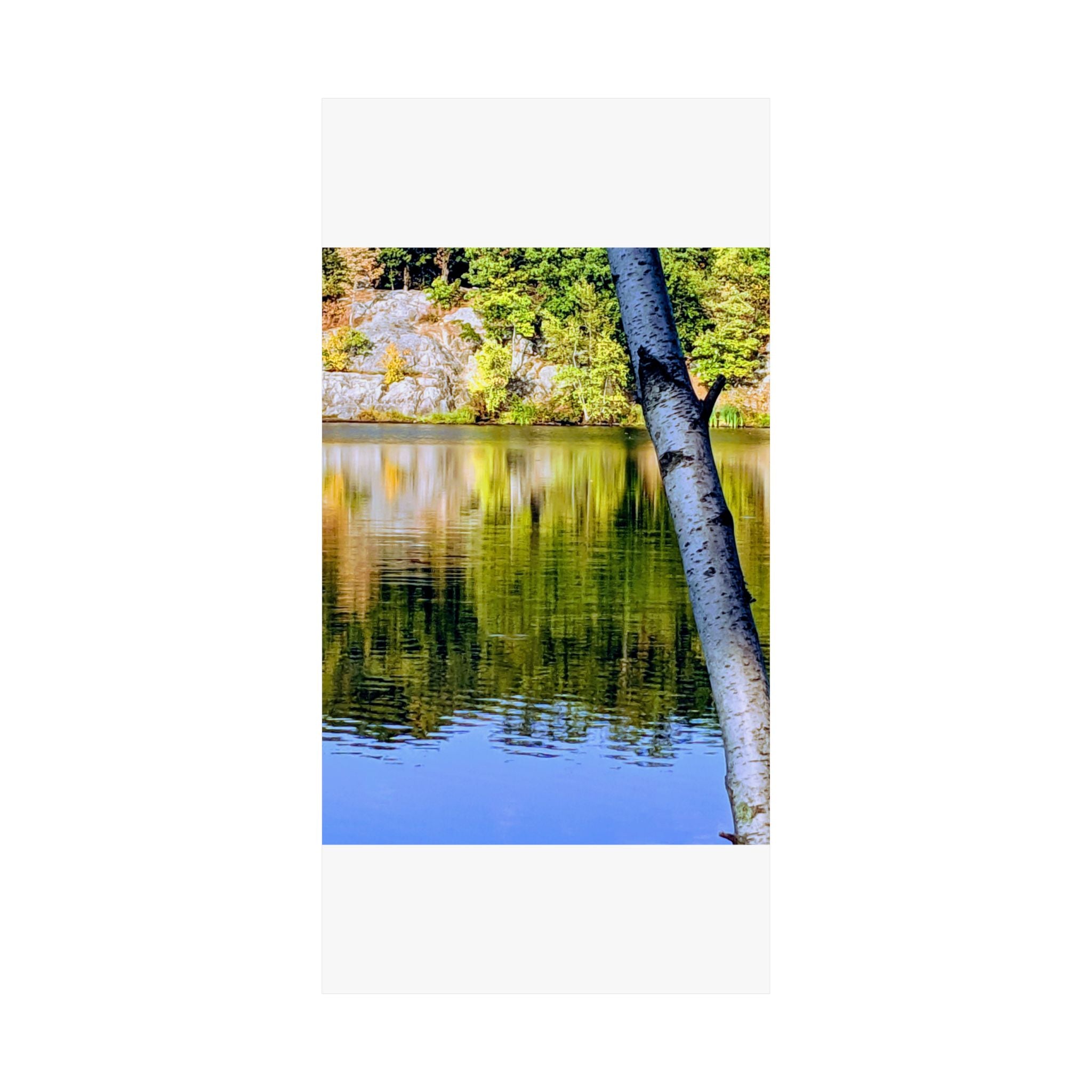 Birch Lake Reflection Matte Poster — Vertical Nature Wall Art