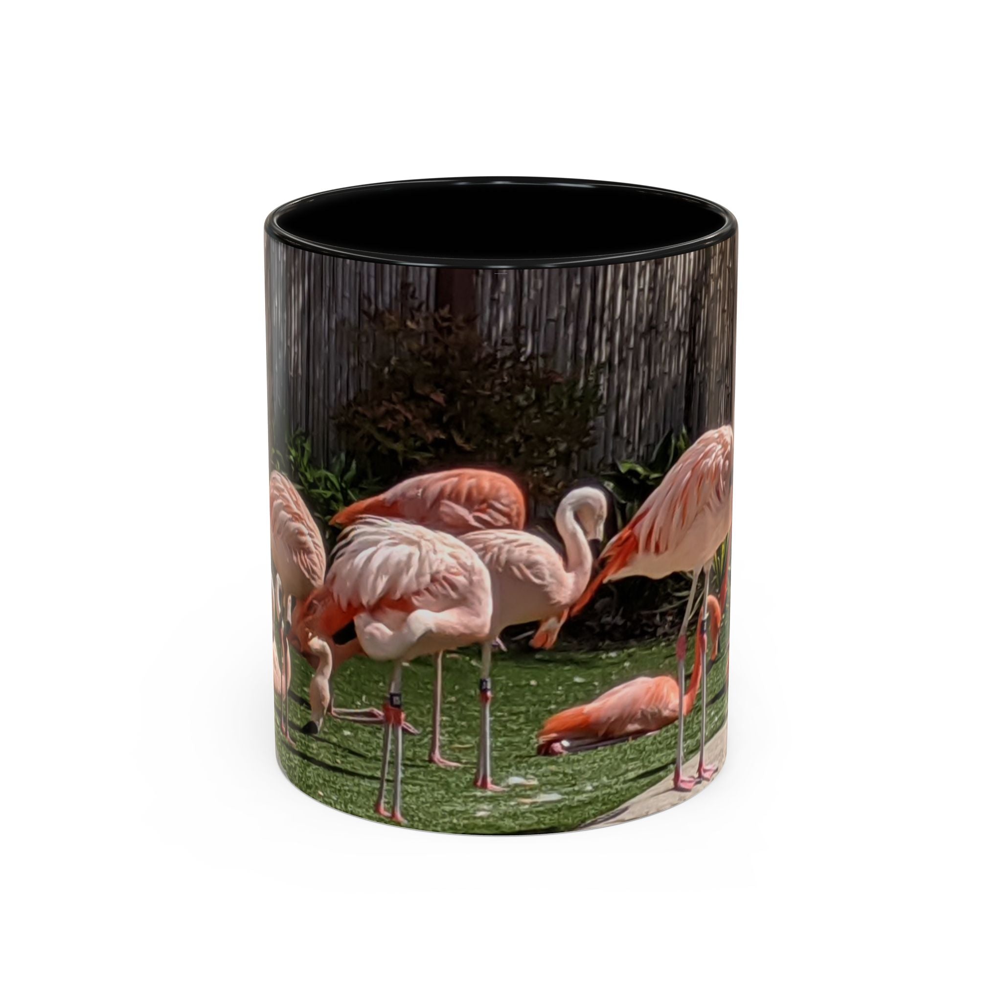 Flamingo Flock Accent Coffee Mug — Tropical Pink Bird Photo (11/15 oz)