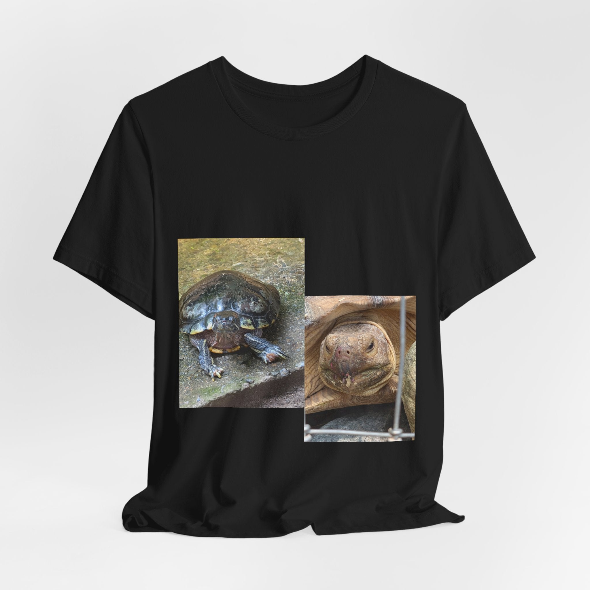 Turtle Photo Collage Tee — Cute Turtle Lovers T-Shirt