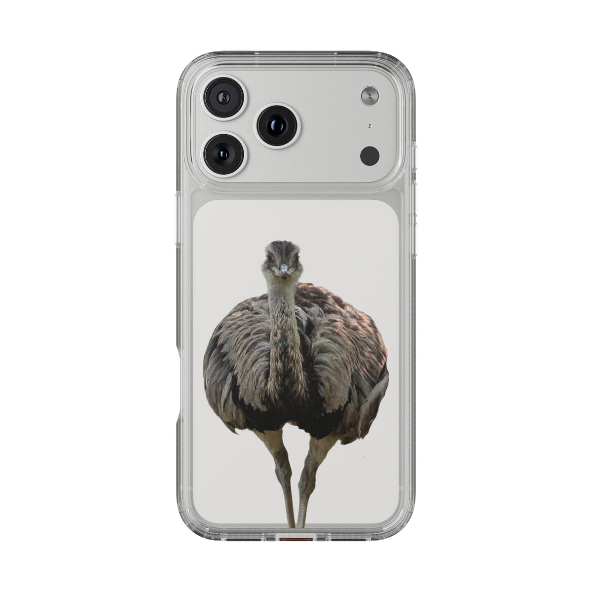 Clear Emu Bird iPhone Case — Cute Wildlife Nature Photo Design, Impact-Resistant Clear Phone Cover, Bird Lover Gift