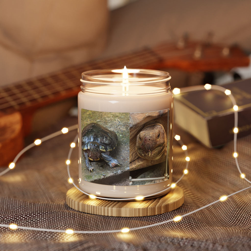 Turtle Photo Scented Soy Candle — Cute Tortoise Wildlife Photo, 9oz Hand-Poured Jar Candle, Turtle Lover Gift