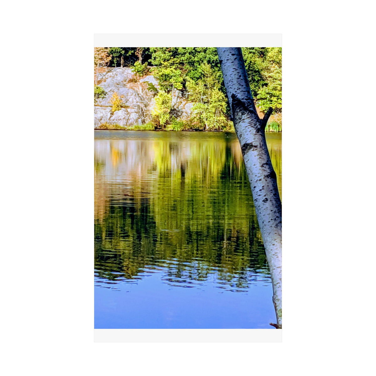 Birch Lake Reflection Matte Poster — Nature Photography Wall Art, Woodland Landscape Print, 46 Sizes