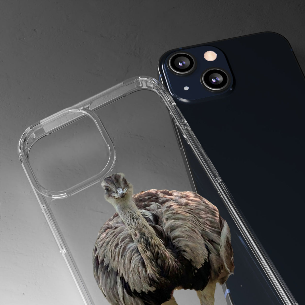 Clear Emu Bird iPhone Case — Cute Wildlife Nature Photo Design, Impact-Resistant Clear Phone Cover, Bird Lover Gift