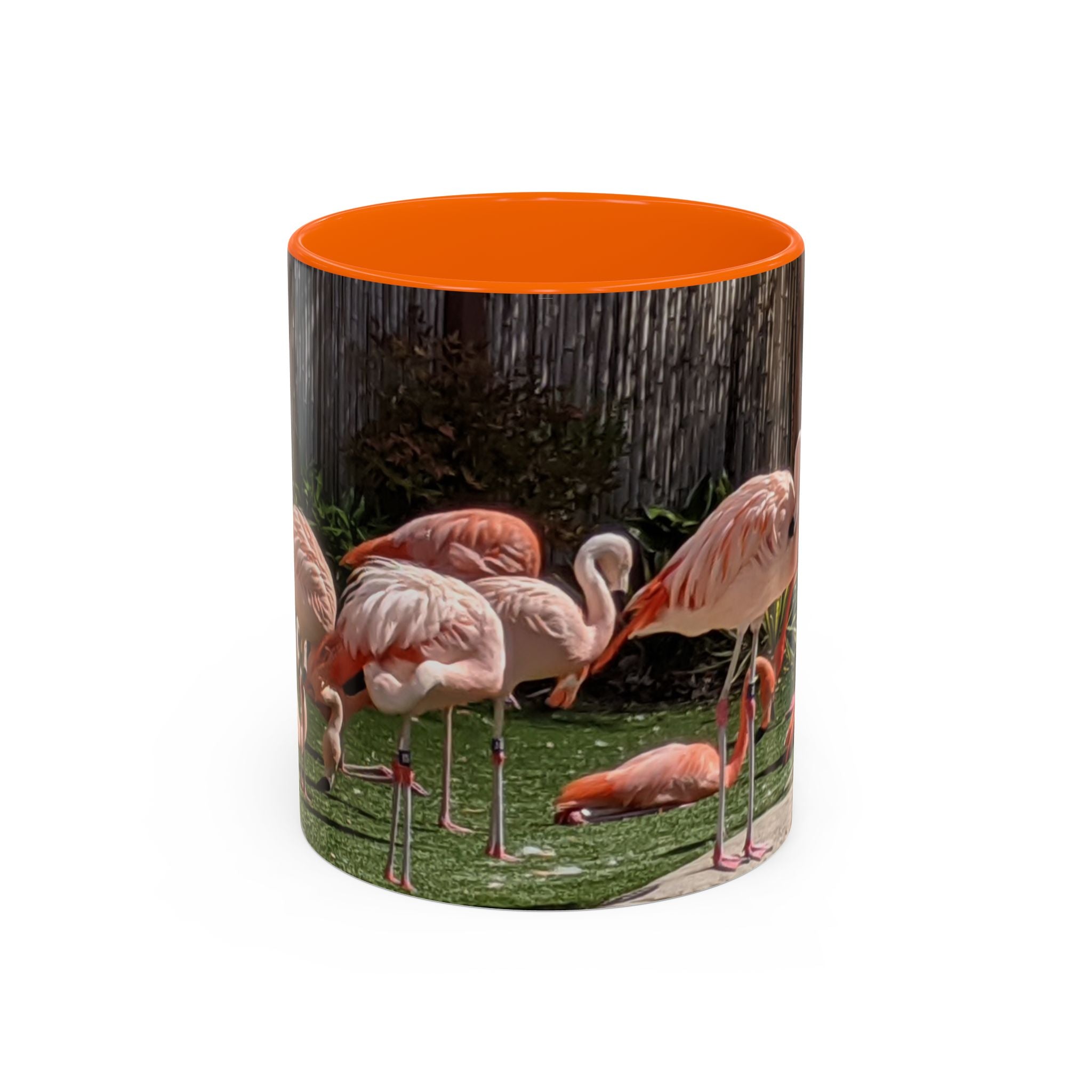 Flamingo Flock Accent Coffee Mug — Tropical Pink Bird Photo (11/15 oz)