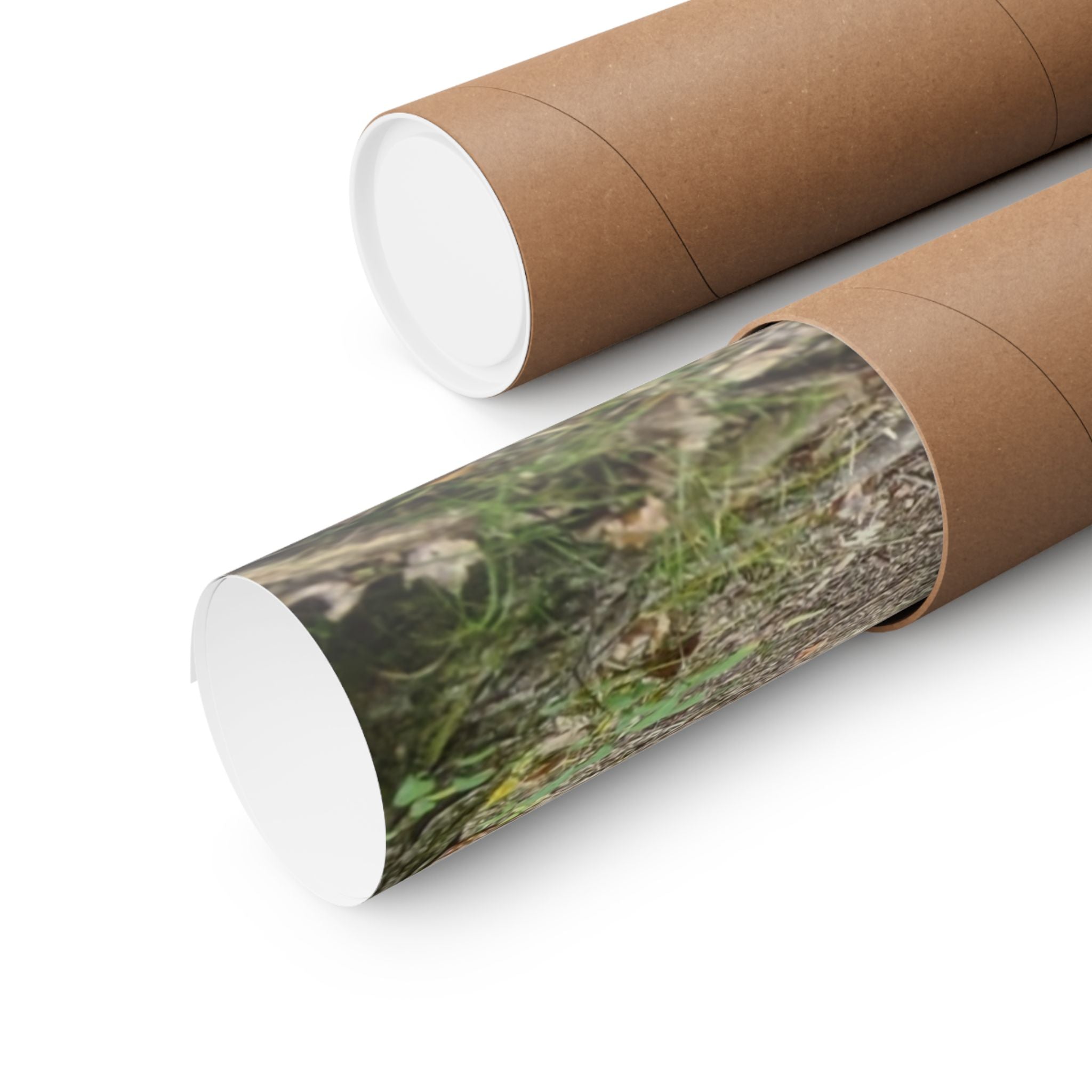 Forest Trail Matte Poster — Green Woodland Nature Photography