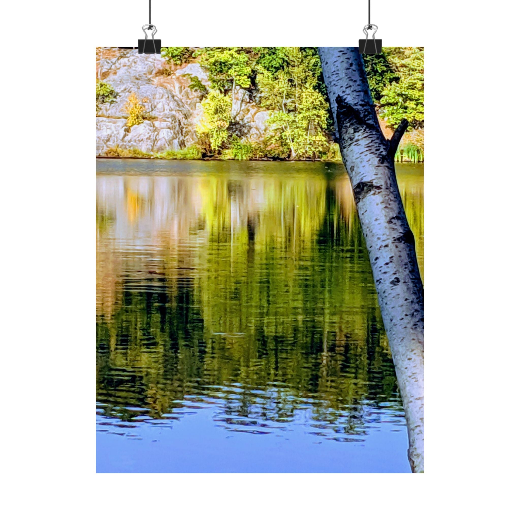 Birch Lake Reflection Matte Poster — Vertical Nature Wall Art
