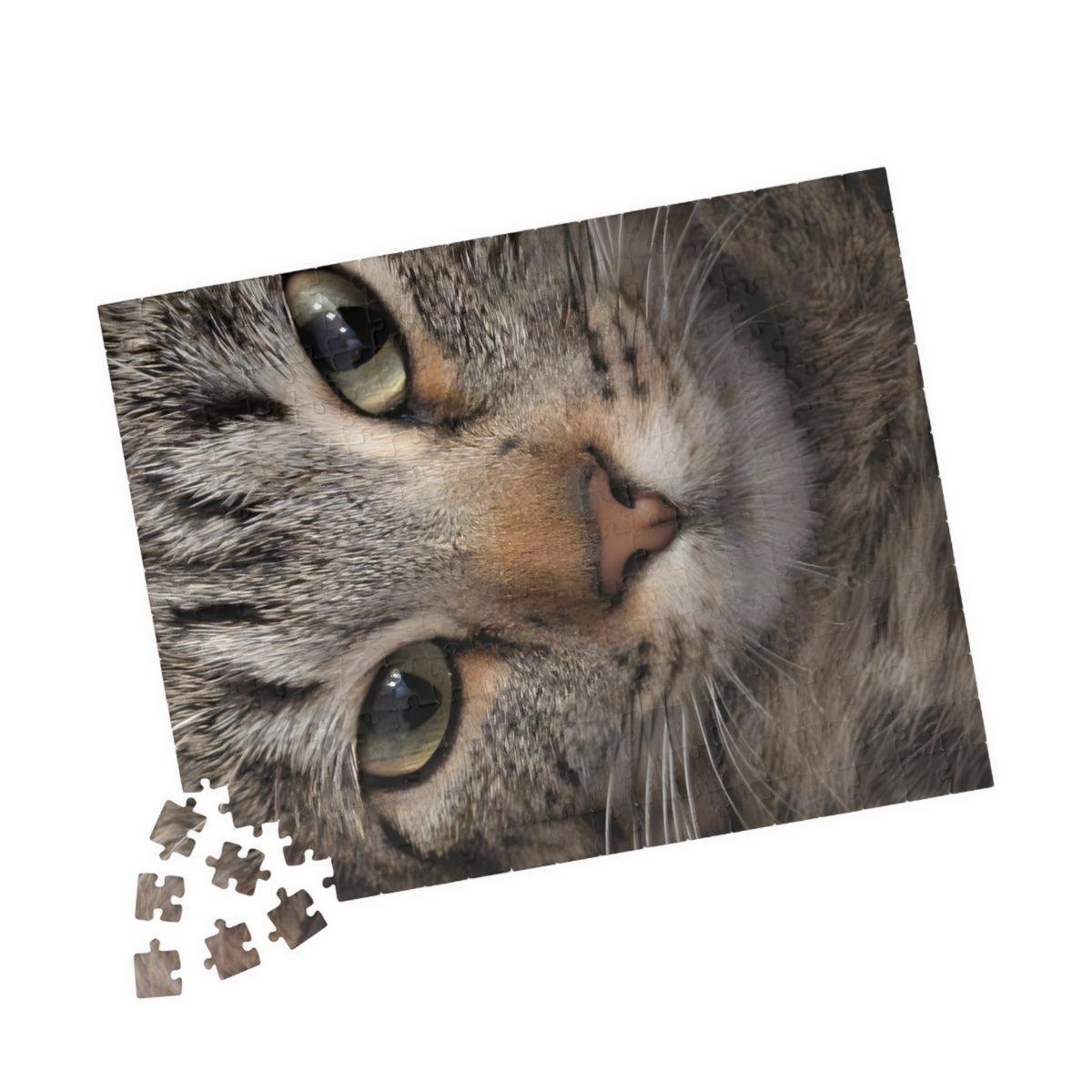 Cat Face Nature Photo Jigsaw Puzzle — Wildlife Photography Gift Set, 110, 252, 520 & 1014 Pieces