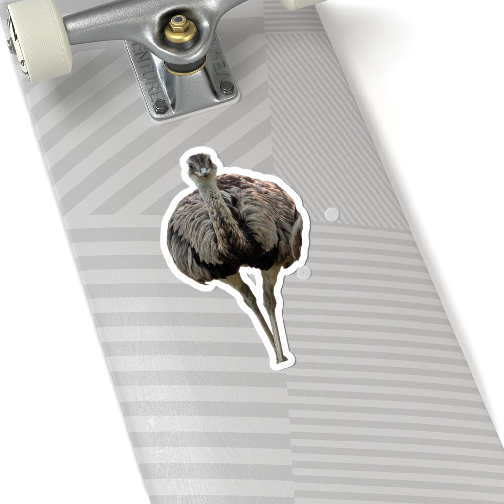 Ostrich Kiss-Cut Sticker — Realistic Bird Laptop Decal