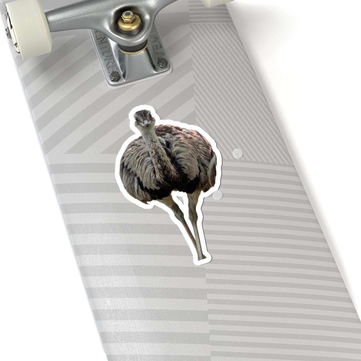 Ostrich Kiss-Cut Sticker — Realistic Bird Laptop Decal