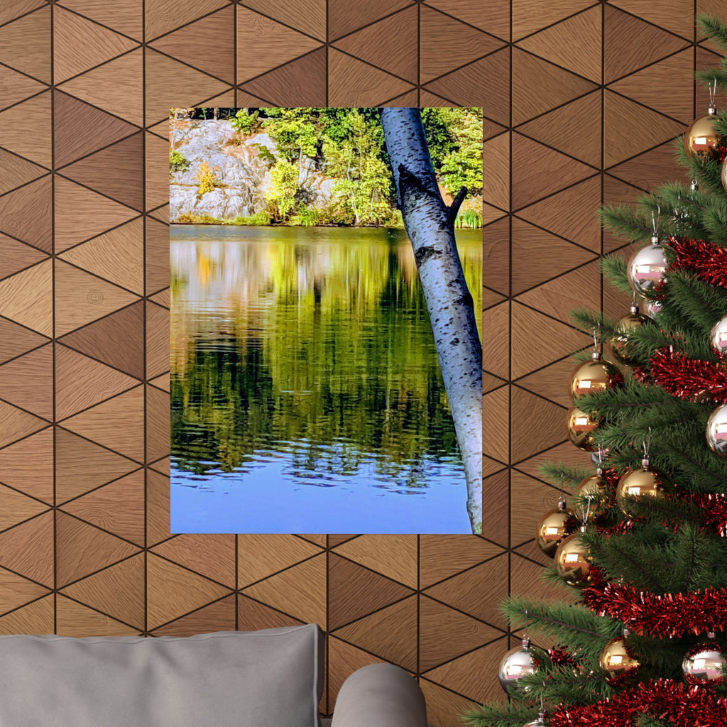 Birch Lake Reflection Matte Poster — Nature Photography Wall Art, Woodland Landscape Print, 46 Sizes