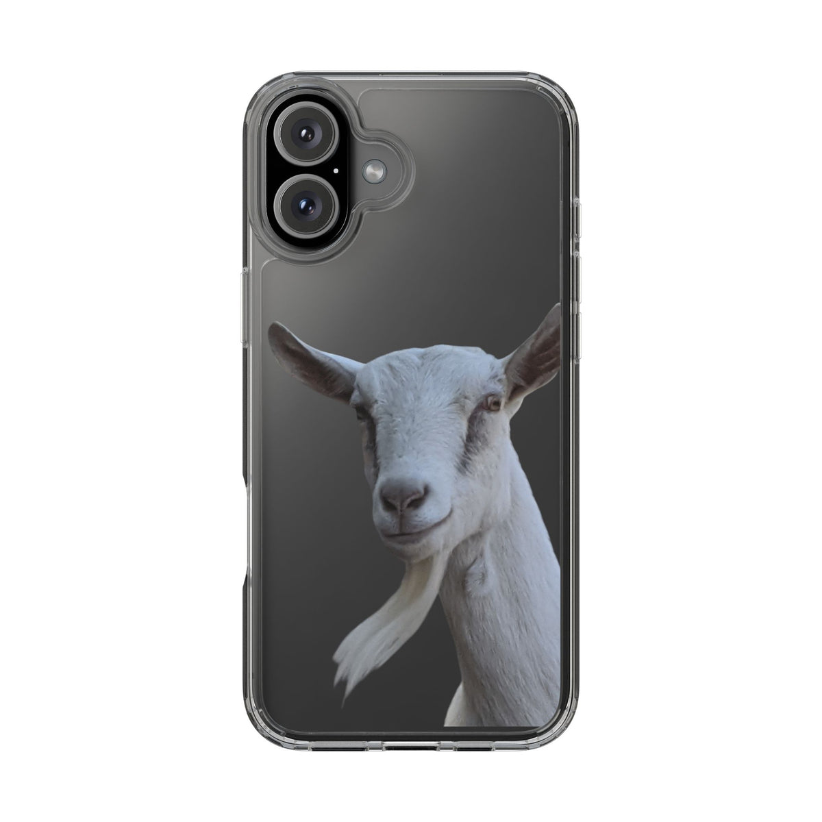 Goat Portrait Clear iPhone Case — Cute Farm Animal Wildlife Photo, Impact-Resistant Clear Phone Cover, Goat Lover Gift