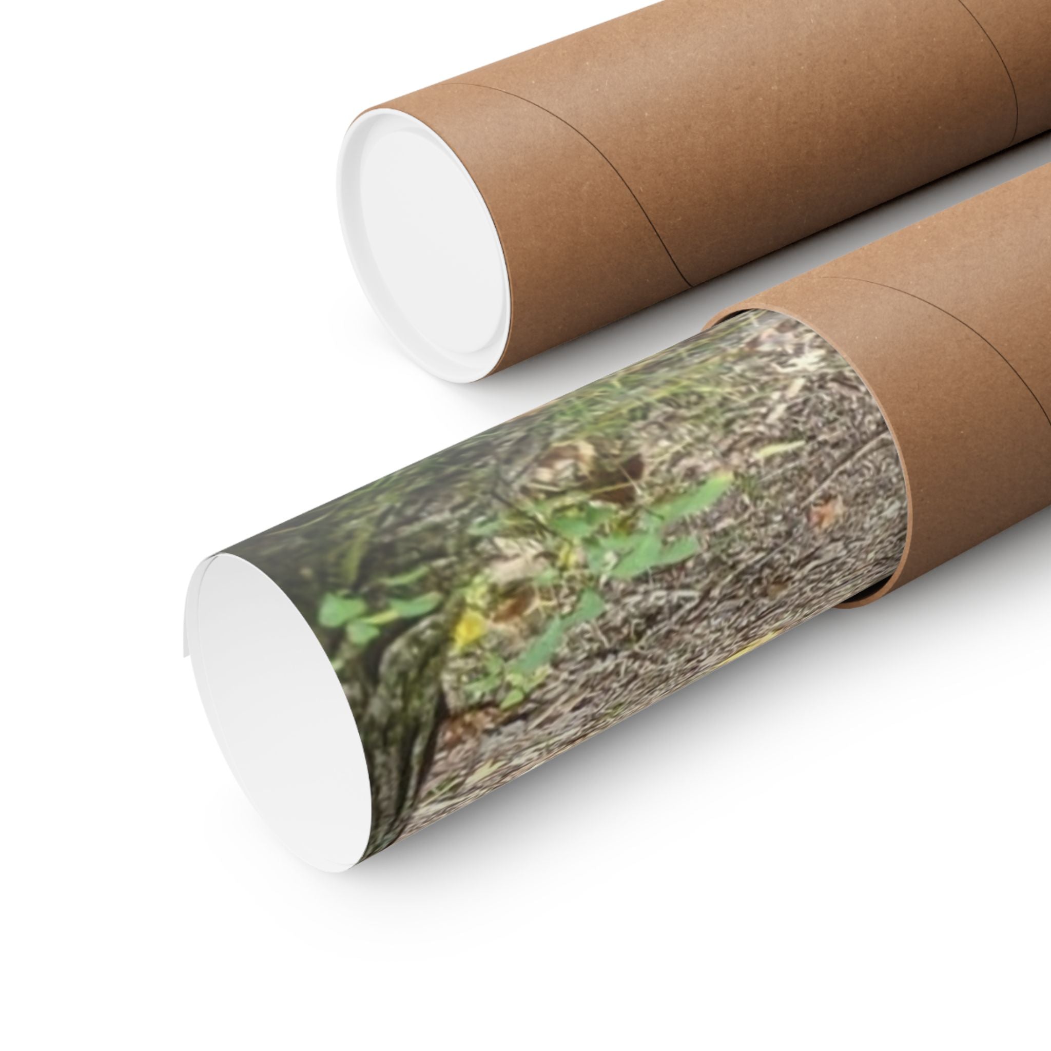 Forest Trail Matte Poster — Green Woodland Nature Photography