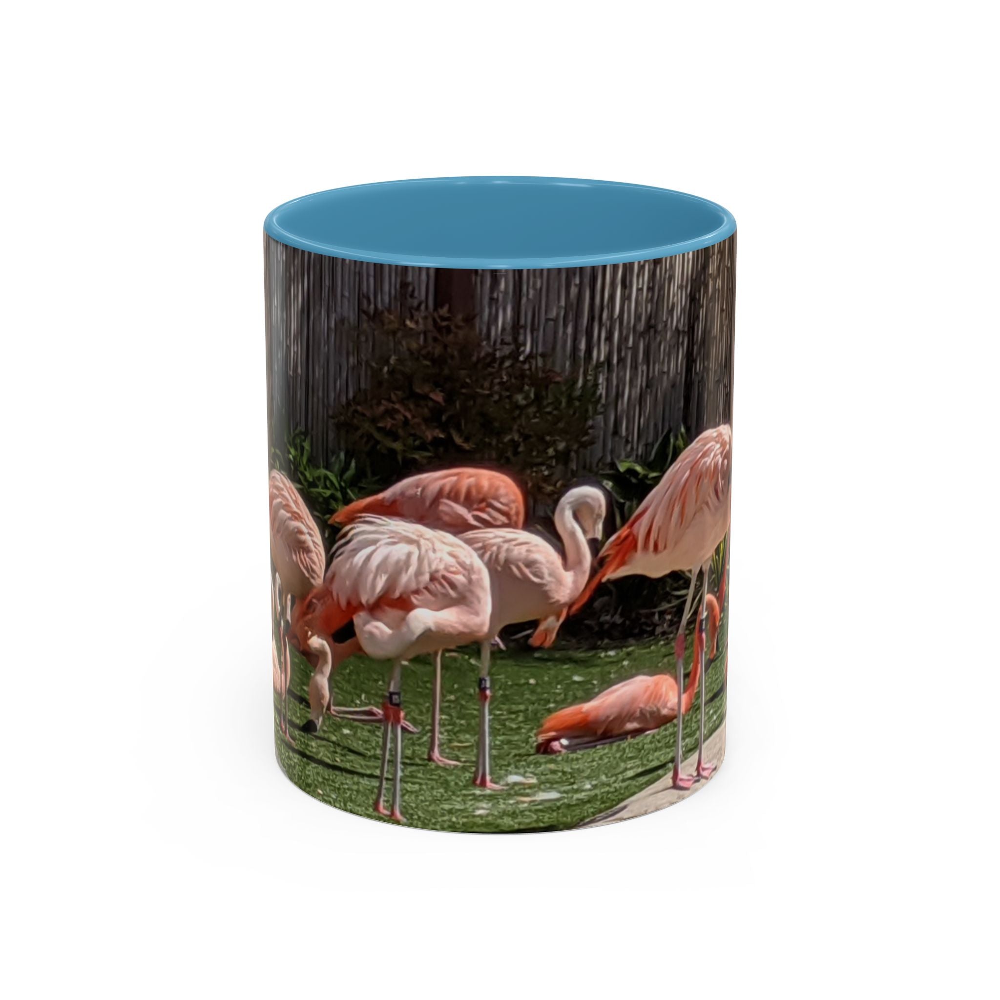 Flamingo Flock Accent Coffee Mug — Tropical Pink Bird Photo (11/15 oz)