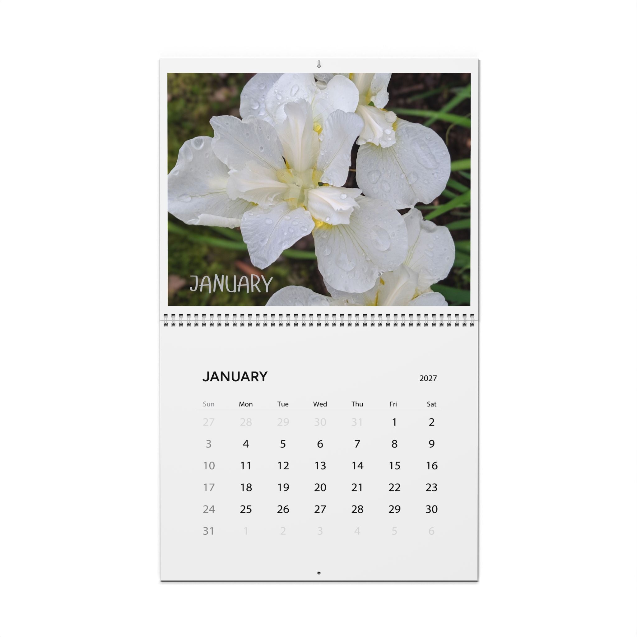 2027 Floral Wall Calendar — Monthly Botanical Photo Calendar, 11×8.5" or 14×11.5"