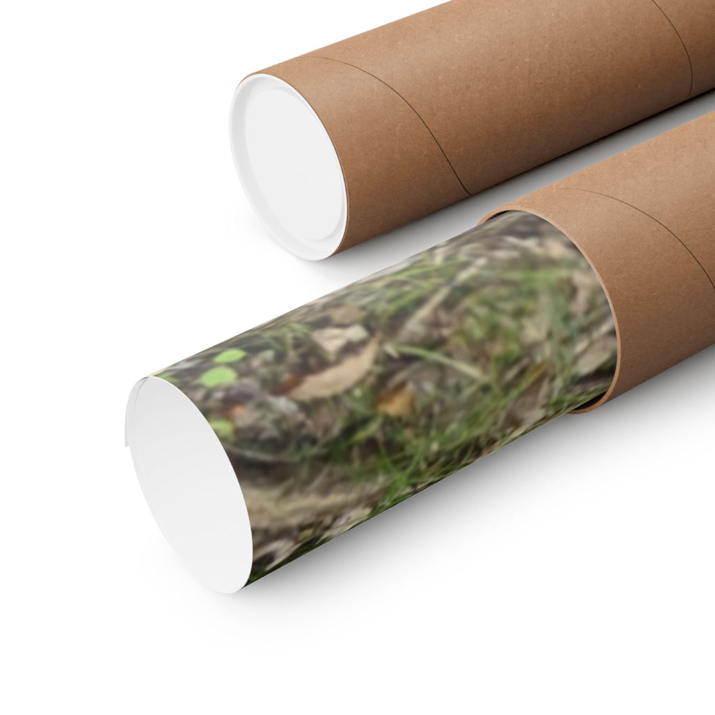 Forest Trail Matte Poster — Green Woodland Nature Photography