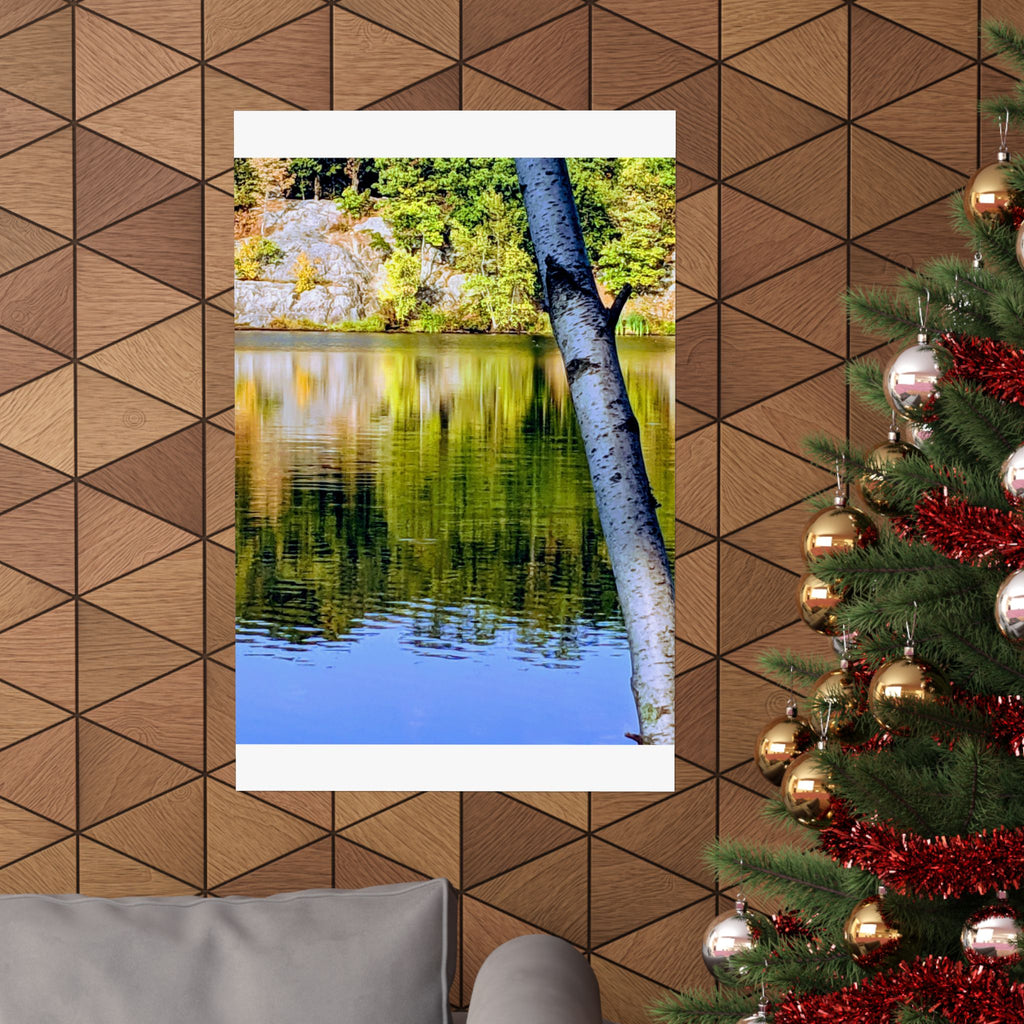 Birch Lake Reflection Matte Poster — Vertical Nature Wall Art