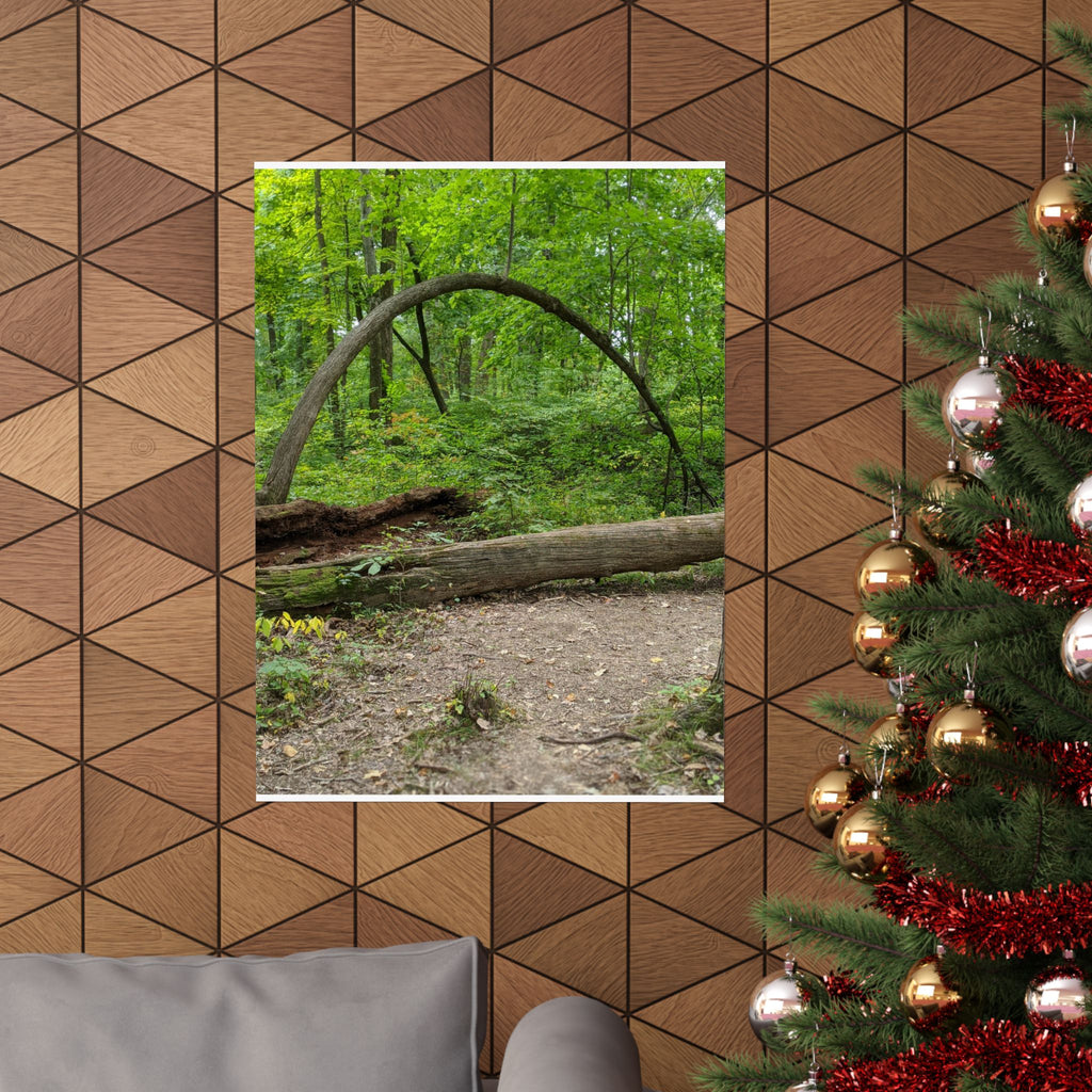 Forest Trail Matte Poster — Green Woodland Nature Photography
