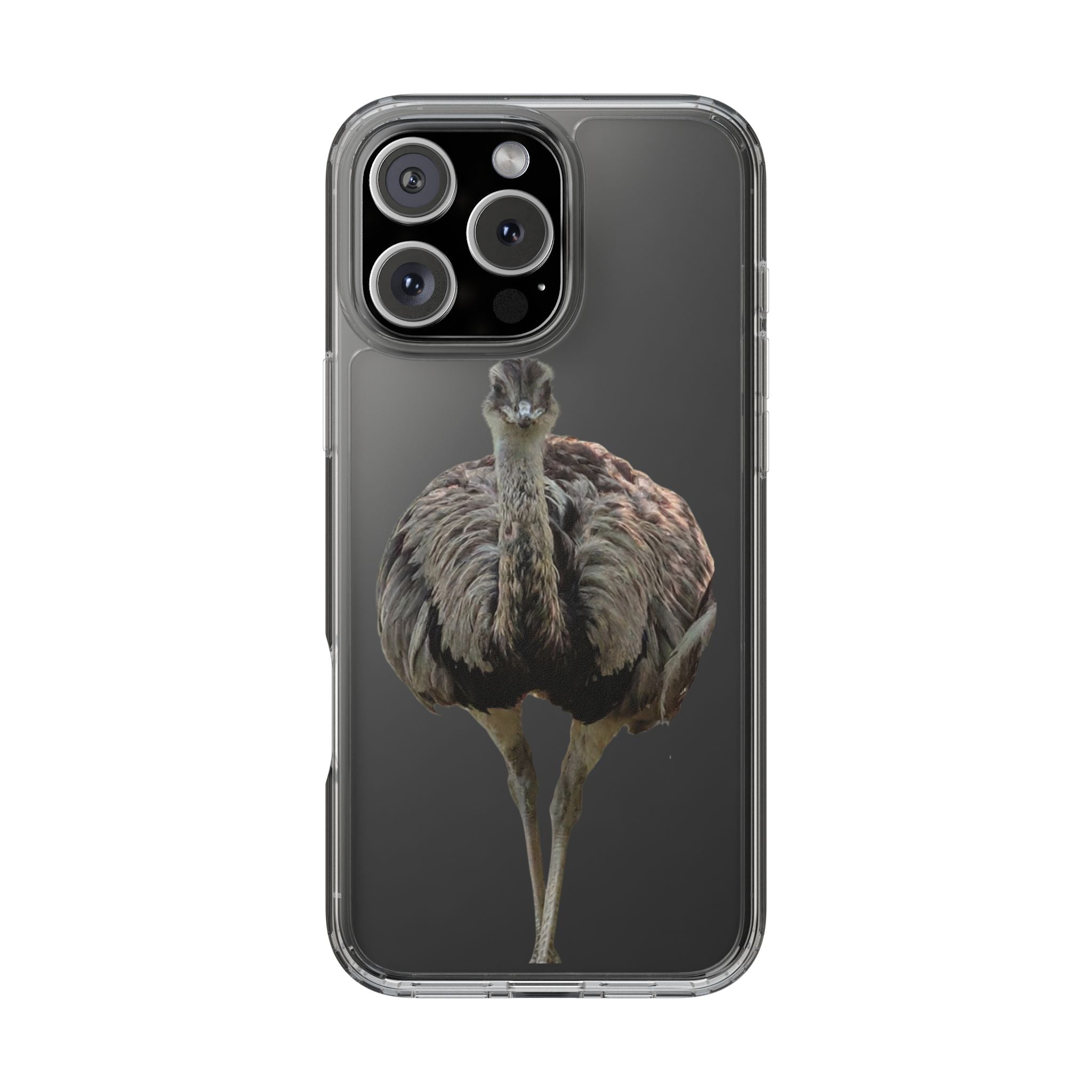 Clear Emu Bird iPhone Case — Cute Wildlife Nature Photo Design, Impact-Resistant Clear Phone Cover, Bird Lover Gift