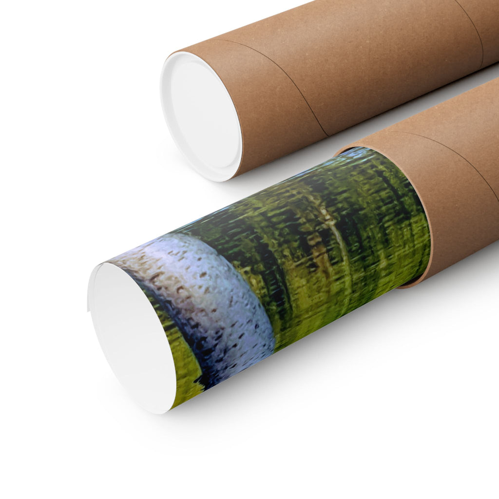Birch Lake Reflection Matte Poster — Vertical Nature Wall Art