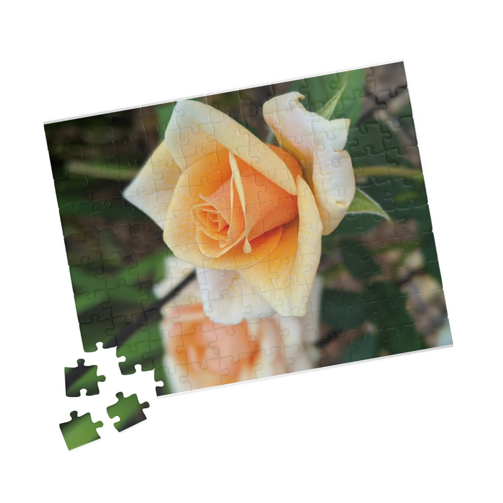 Puzzle (110, 252, 520, 1014-piece)