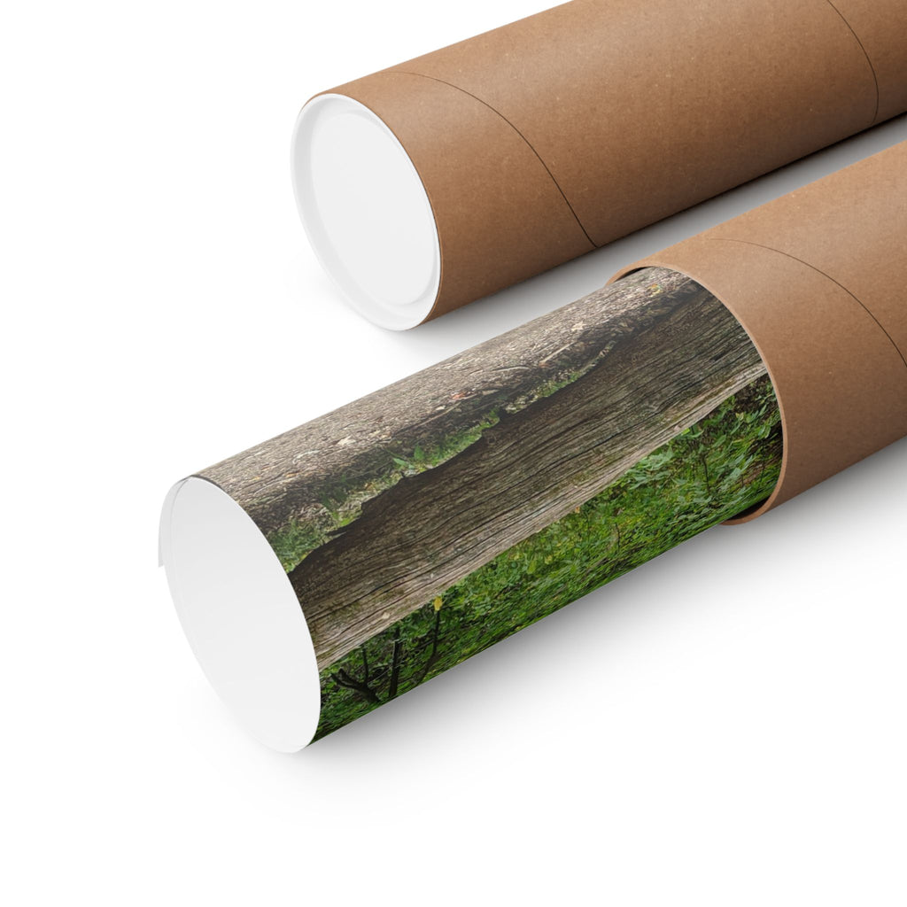 Forest Trail Matte Poster — Green Woodland Nature Photography