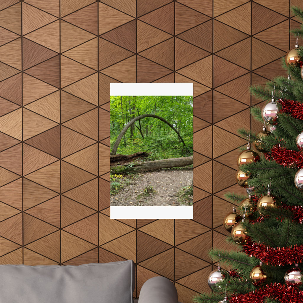 Forest Trail Matte Poster — Green Woodland Nature Photography
