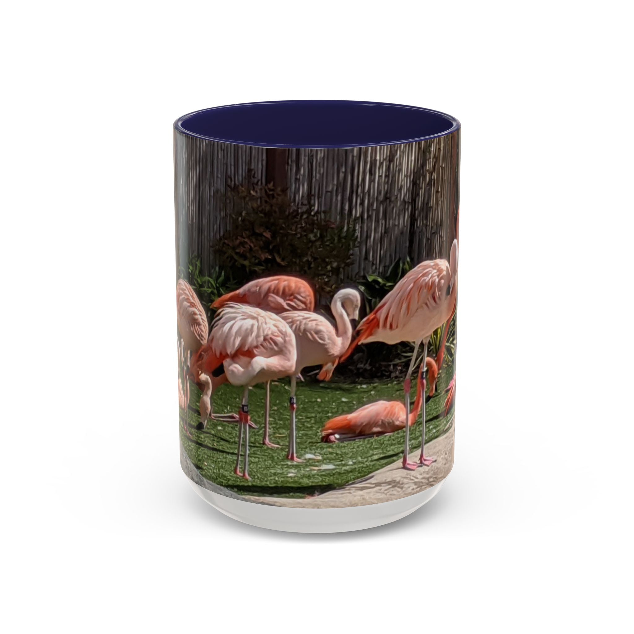 Flamingo Flock Accent Coffee Mug — Tropical Pink Bird Photo (11/15 oz)