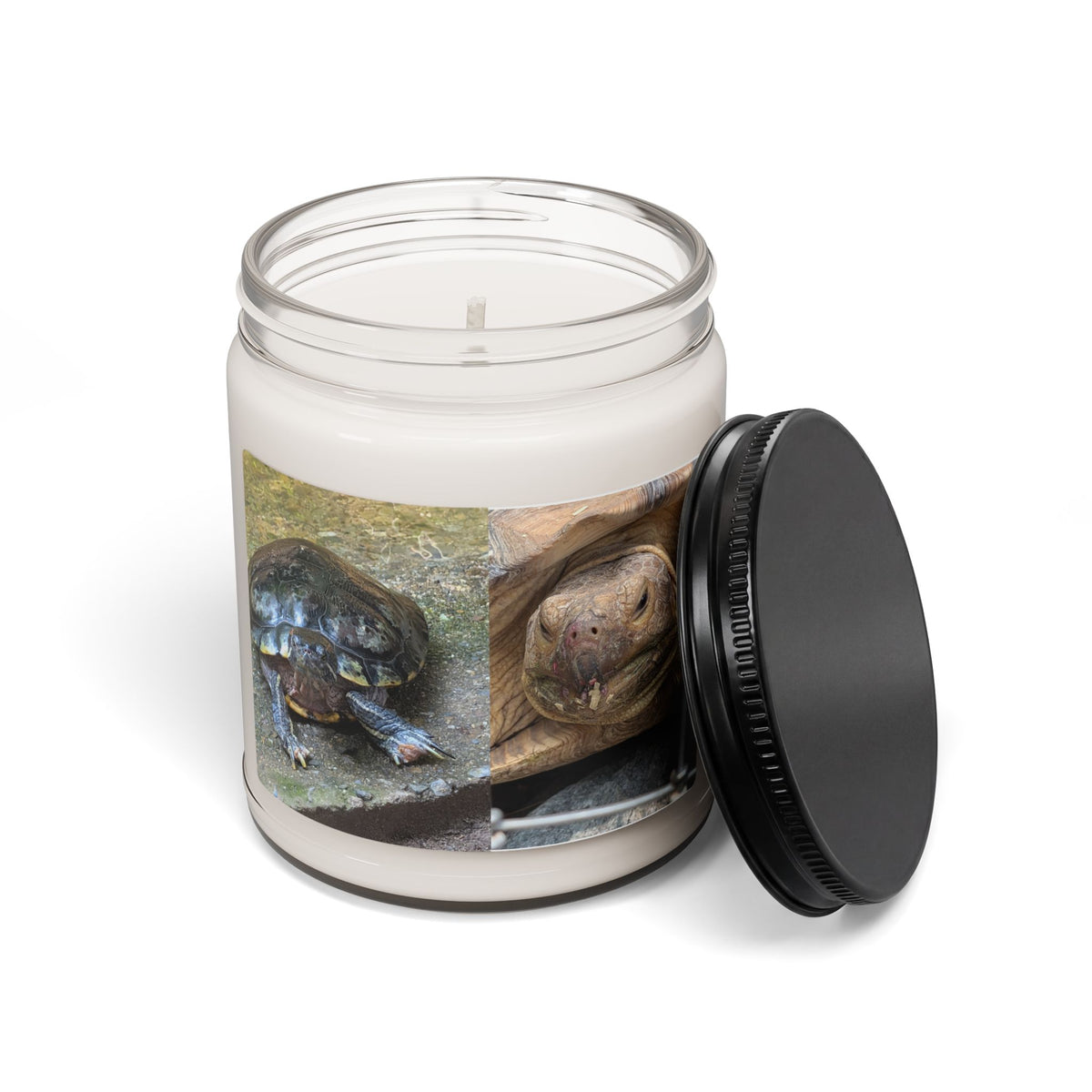 Turtle Photo Scented Soy Candle — Cute Tortoise Wildlife Photo, 9oz Hand-Poured Jar Candle, Turtle Lover Gift